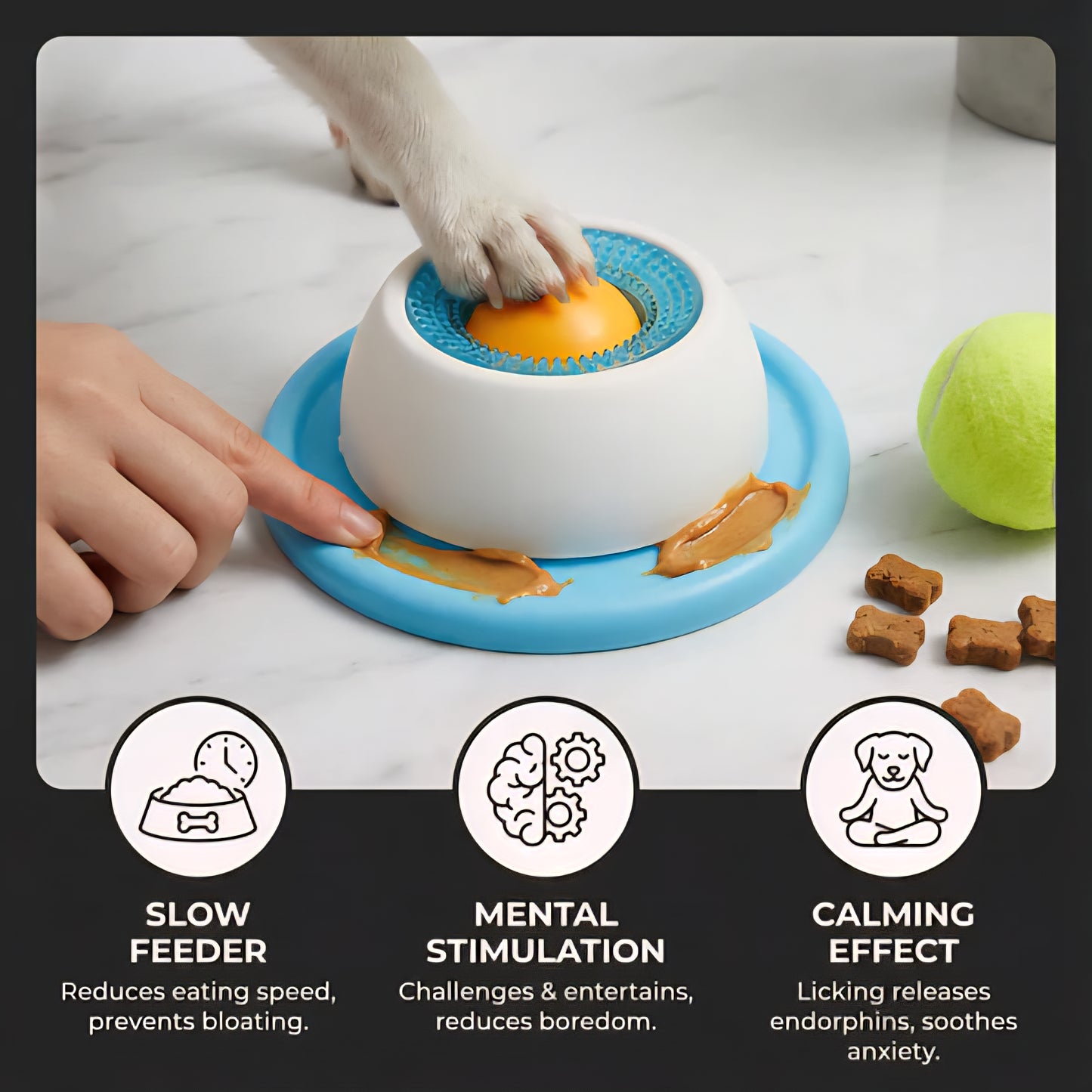 Dog Slow Feeder Bowl